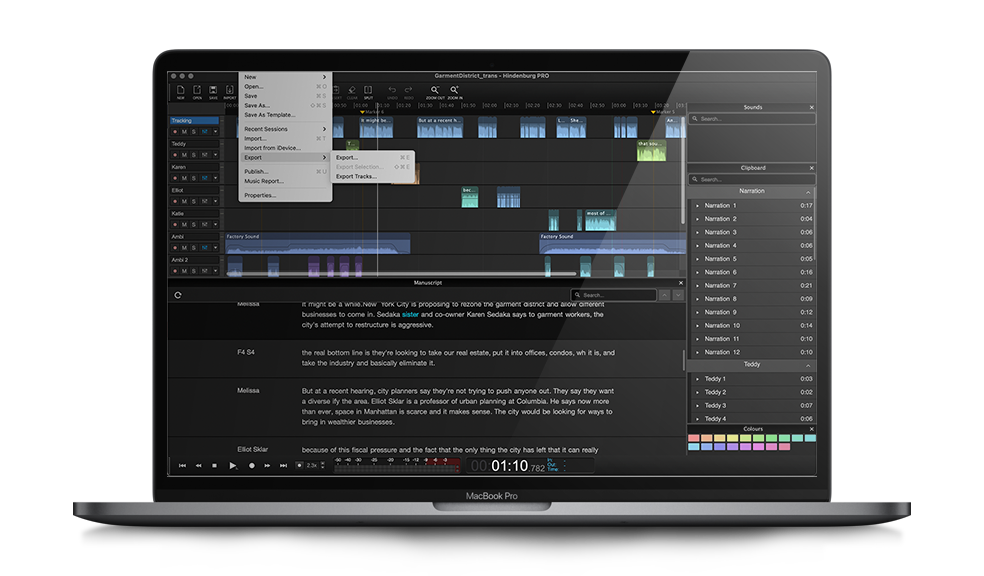 Hindenburg, Export tracks, export selection